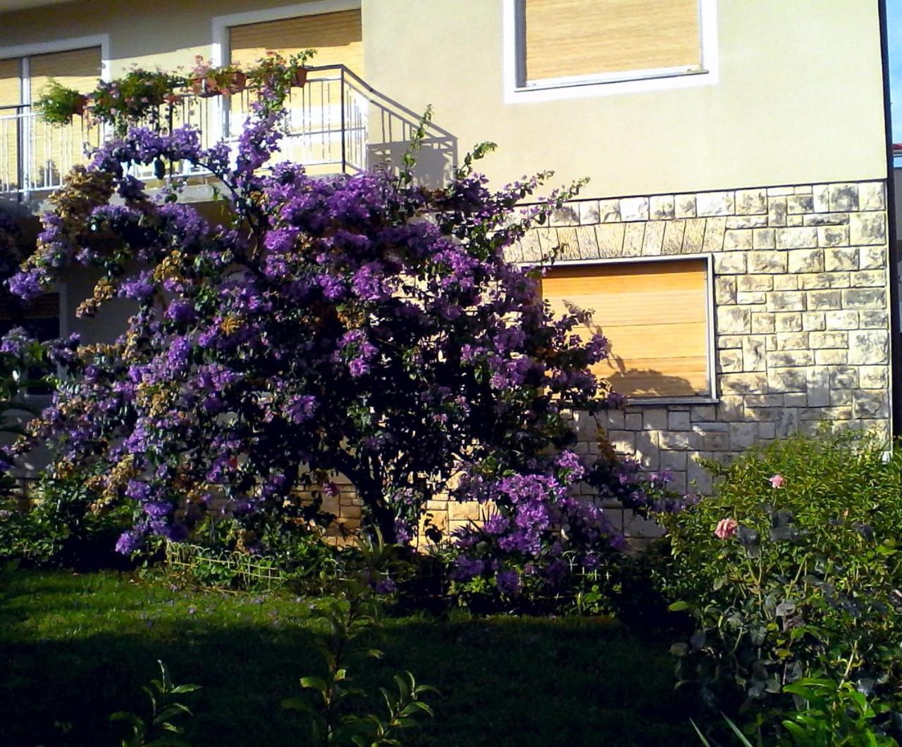 Lovely Apartment In Pomer Dış mekan fotoğraf